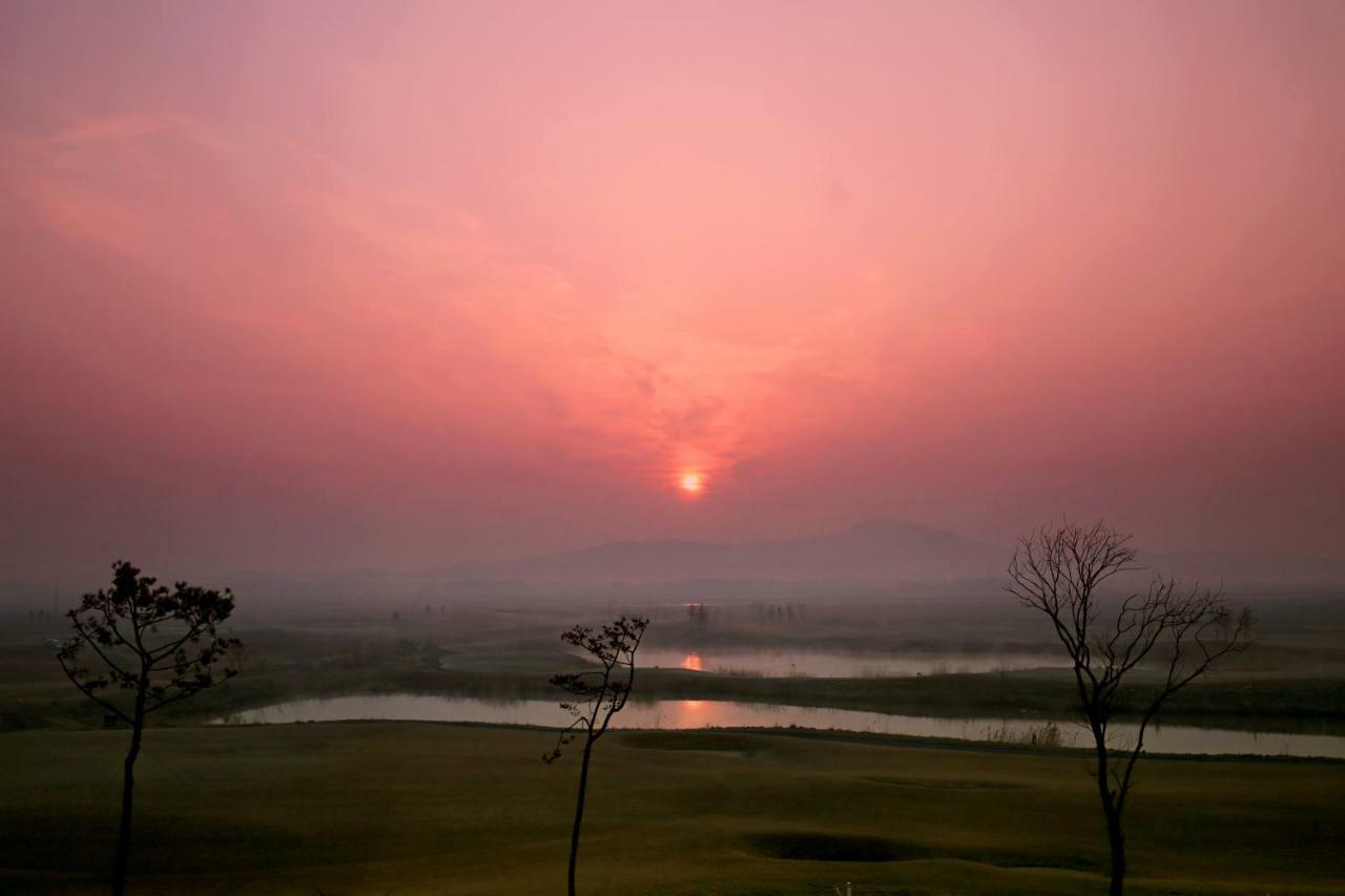 Latierra Terrace Golf Village Taean Dış mekan fotoğraf